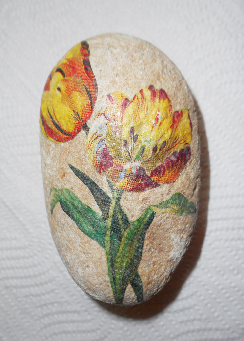 Tulipánky — foto 1