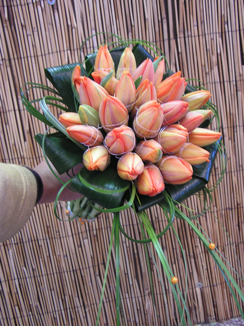 Oranžová tulipánová