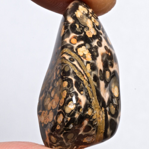 Jaspis leopardí — foto 1