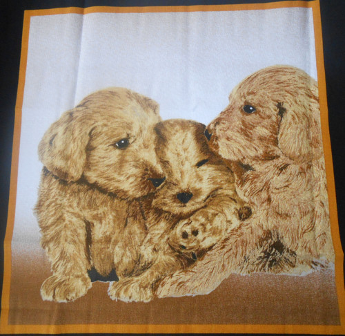 Pejsci - velký panel — foto 1