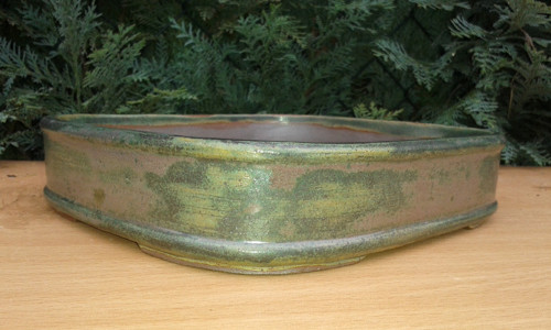 Miska Bonsai — foto 1