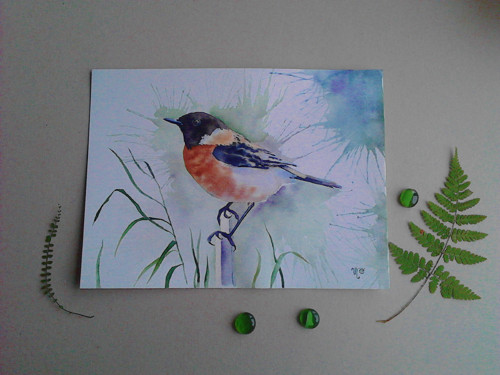 Bramborníček černohlavý. Akvarel 23x31cm. — foto 1