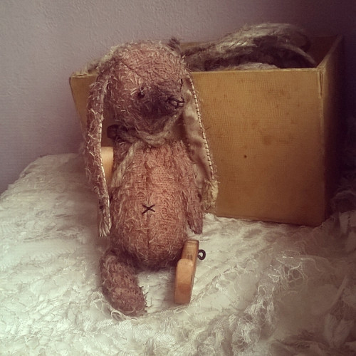Králík Bleška — foto 1