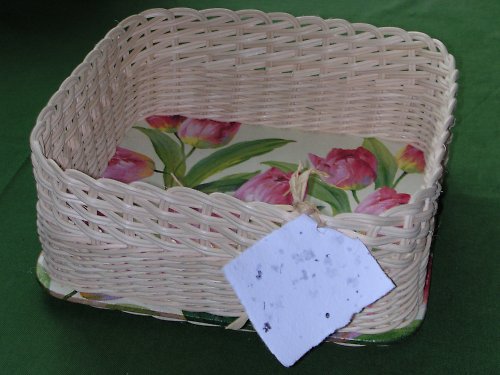 Ubrouskovník tulipánkový — foto 1