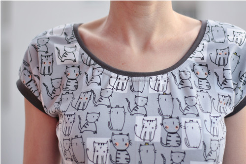 Gray Cats — foto 1