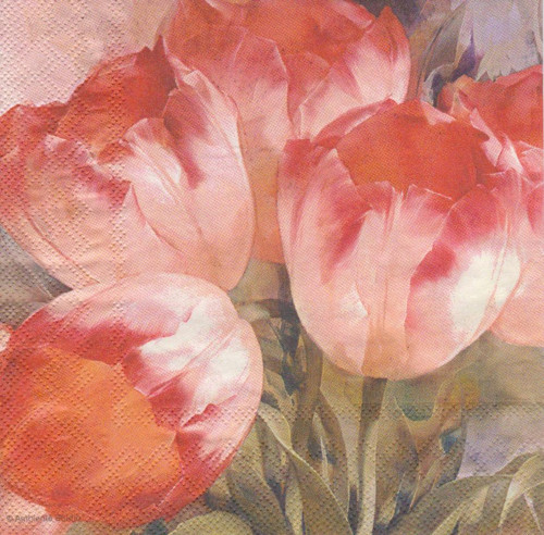Ubrousek - tulipánový sen — foto 1