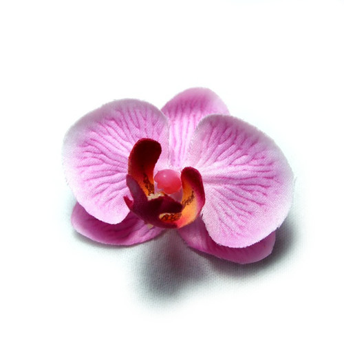 Květ orchideje 5 cm