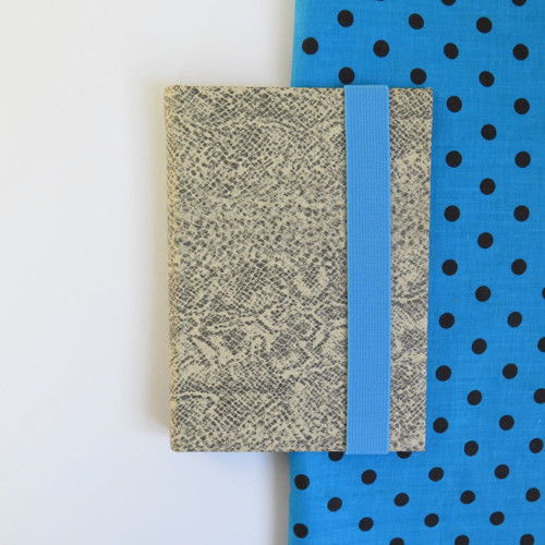 Hotová Ještěrka - na Kindle 6 Touch nebo PW