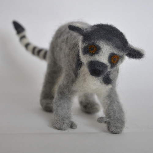 Lemur kata — foto 1