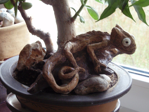 Chameleon — foto 1