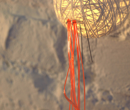 Long lines_neon orange