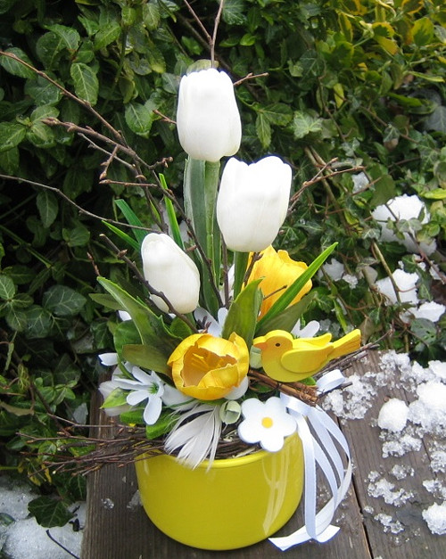 Tulipány a sněženky — foto 1