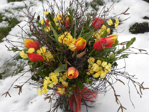 Březová kytka s tulipány — foto 1