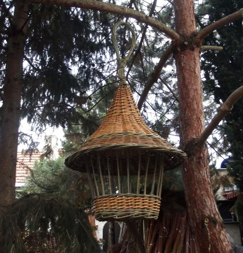 Krmítko velké — foto 1