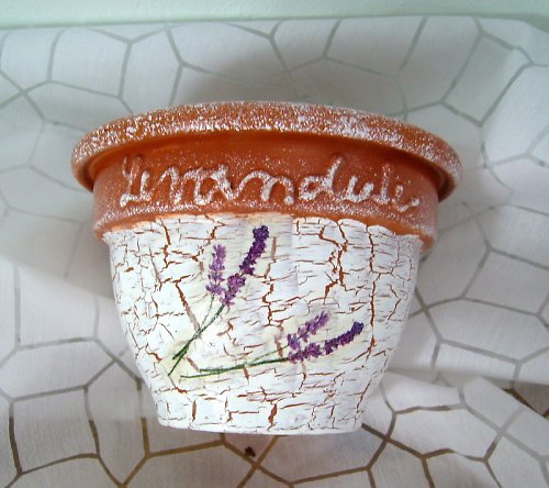 Květináč levandule — foto 1