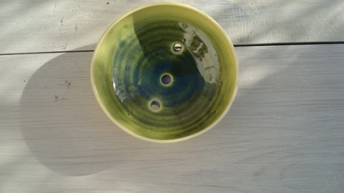 Mýdlenka zelená — foto 1