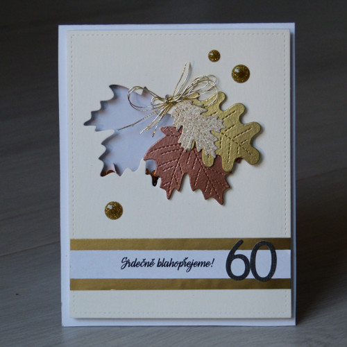 Blahopřání - muž 60 — foto 1