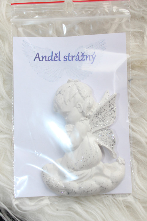 Anděl strážný — foto 1