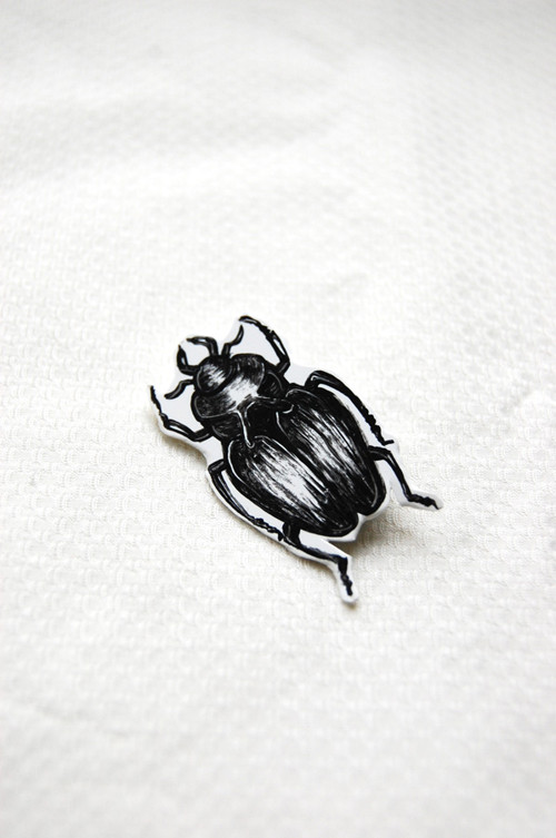 Beatle — foto 1