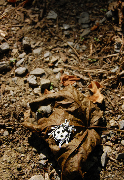 Beruška — foto 1