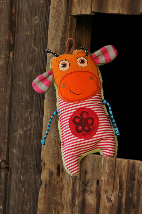 ... Pauzička ... — foto 1