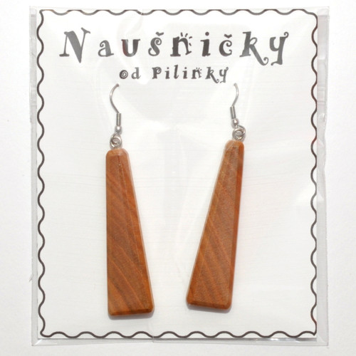Naušničky (n39) — foto 1