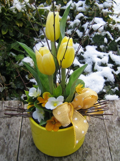 Žluté tulipány 3 — foto 1