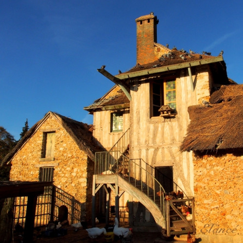 Vesnička IX