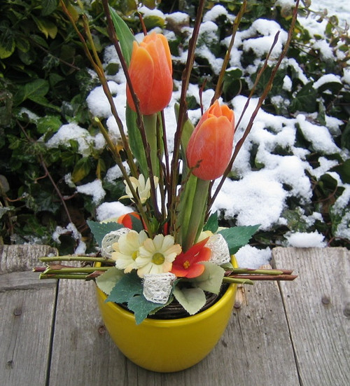 Oranžové tulipány — foto 1