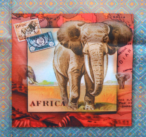 Afrika - slon — foto 1