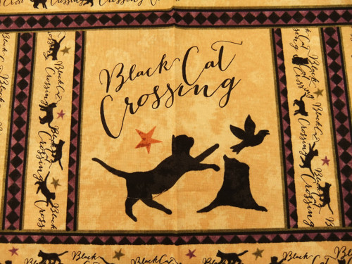 Black Cat VI. — foto 1