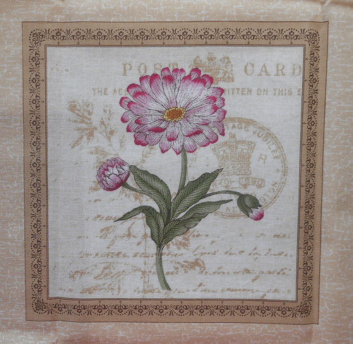 POST CARD - herbář — foto 1
