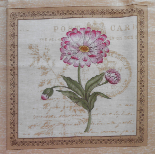 POST CARD - herbář — foto 1
