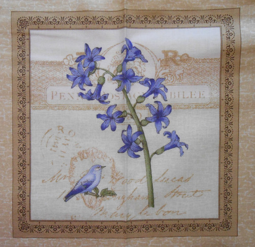 POST CARD - herbář — foto 1