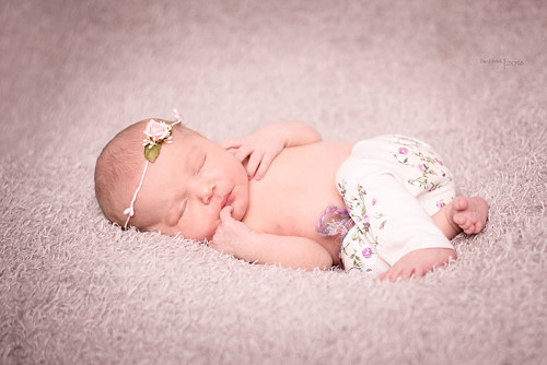 Newborn čelenka s růžičkou — foto 1