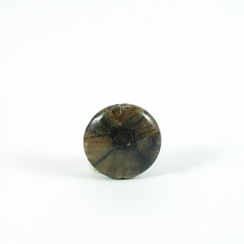 Chiastolit – vrtaná placička 22,5 mm