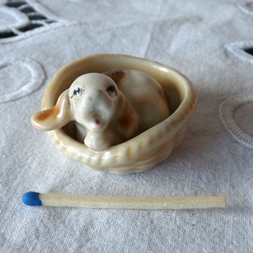 Miniatura - štěňátko — foto 1