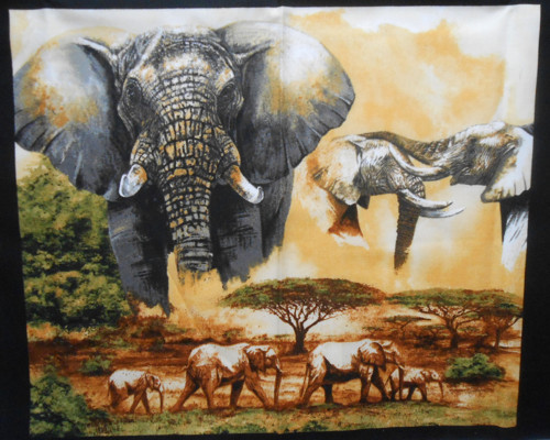 Afrika- velký panel — foto 1
