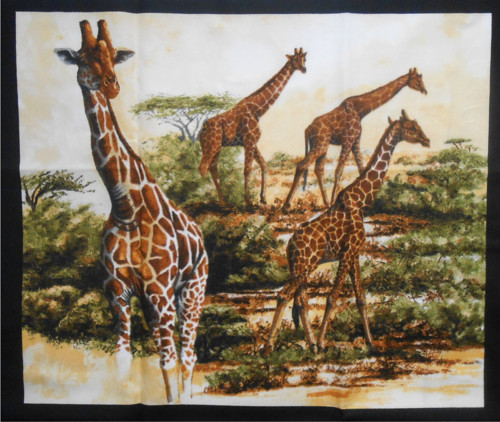 Afrika- velký panel — foto 1