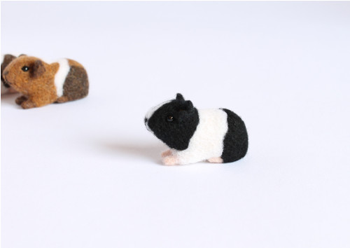 Mini morčátko černobílé — foto 1