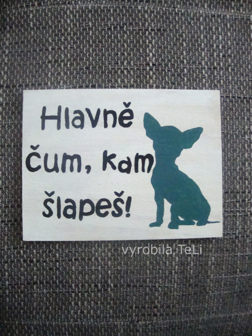 Hlavně čum — foto 1