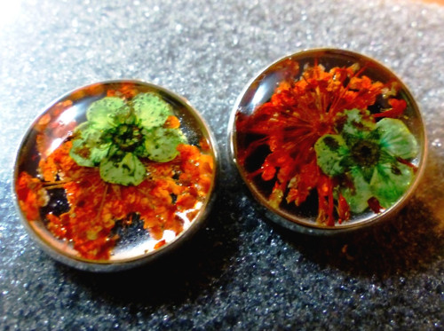 Pecky suché květy — foto 1