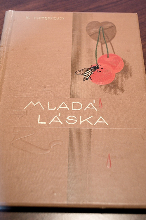 Mladá láska, H. Pontoppidan