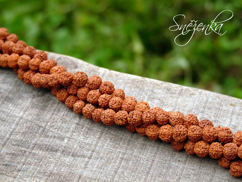 Rudraksha, 6 mm, 4 ks — foto 1