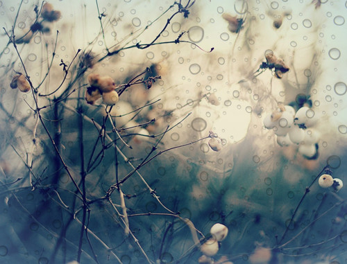 Buble... — foto 1