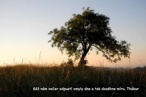 Večerní soumrak ... odpočiň si ... Thákur