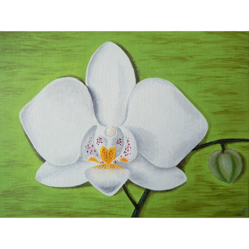 Orchidej