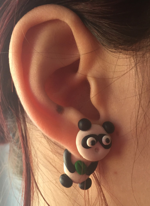 Panda — foto 1