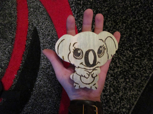 Medvídek koala — foto 1