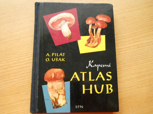 Atlas hub — foto 1